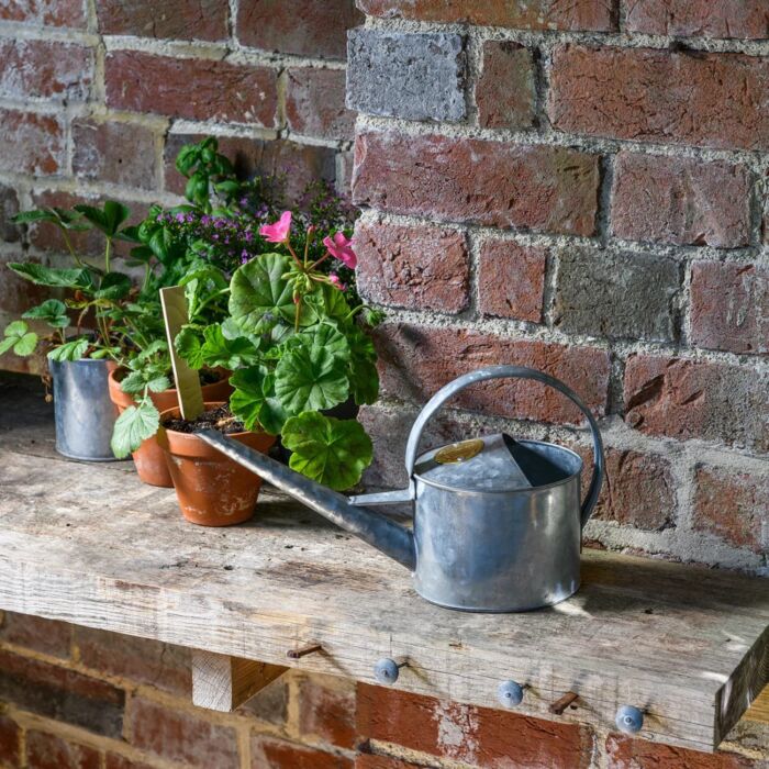 Burgon & Ball - Sophie Conran Greenhouse & Indoor Watering Can - Galvanized Small